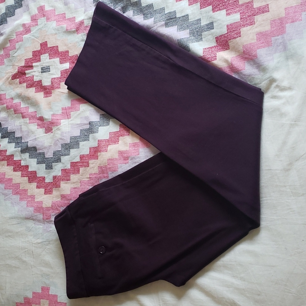 Ann Taylor dress pants